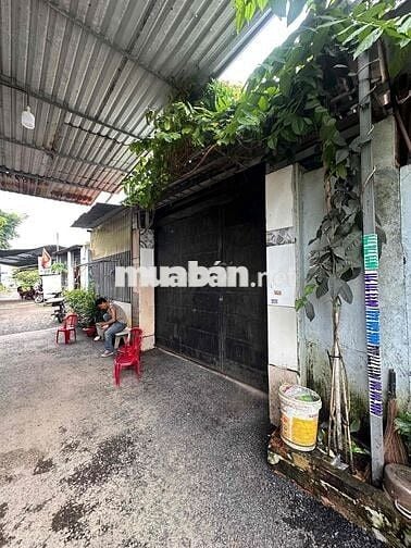 bán gấp nhà 8x16. quách điêu vĩnh lộc a. bình chánhchir 2.5ty