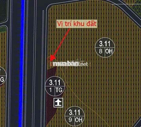 ĐẤT 5.2x19M NGAY NGÃ 4 PHẠM VĂN ĐỒNG & TÔ NGỌC VÂN CHỢ THỦ ĐỨC