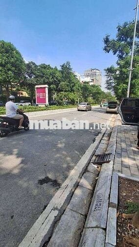 LẠC LONG QUÂN - MẶT PHỐ KINH DOANH - KHU VỰC TRUNG TÂM, VỊ TRÍ ĐẸP.