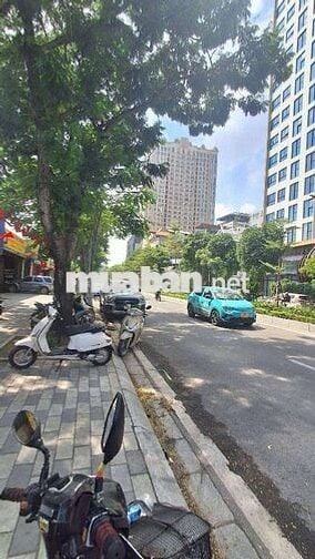 LẠC LONG QUÂN - MẶT PHỐ KINH DOANH - KHU VỰC TRUNG TÂM, VỊ TRÍ ĐẸP.