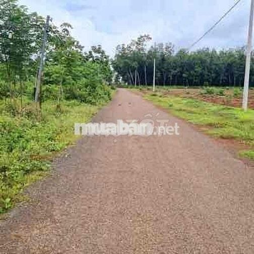 Bể Nợ bán lô đất mặt tiền Long Hà, Phú Riềng, Bình Phước