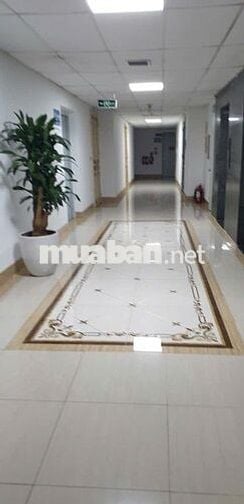 Cho thuê căn hộ 105 m2 ,3 phòng ngủ tại 310 Minh khai HN
