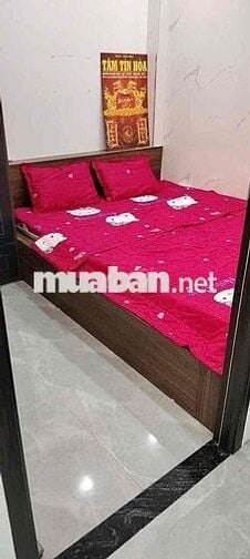 Mình CHÍNH CHỦ cần bán nhà gác lửng đúc 2 MẶT KIỆT Huỳnh Ngọc Huệ