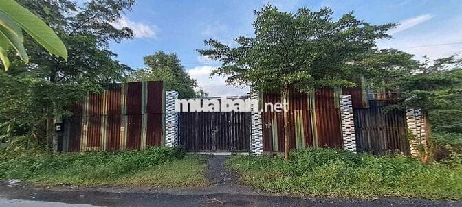Đất trồng cây lâu năm đã có nhà C4 sẵn tại Vĩnh Lộc