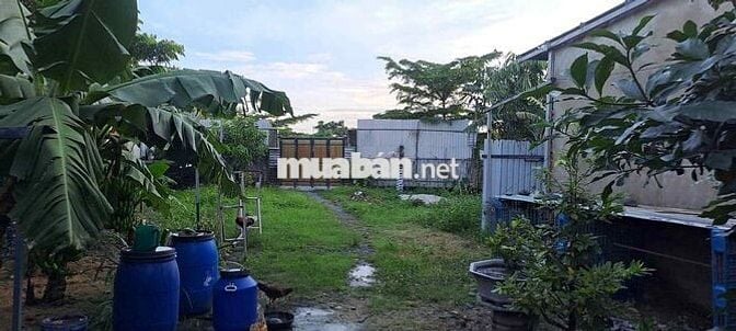 Đất trồng cây lâu năm đã có nhà C4 sẵn tại Vĩnh Lộc