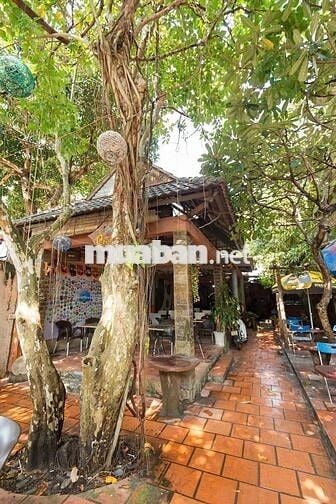 Cần Bán 316m2 Đất Và Nhà Mặt Tiền Võ Thị Sáu ( CÓ HOA HỒNG CHO AE MG)