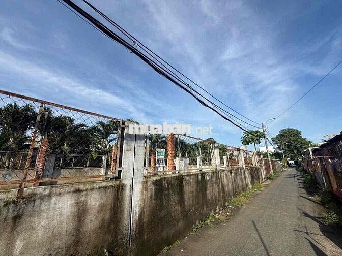 bán đất hẻm xe hơi đường Tân Thới Nhì 2