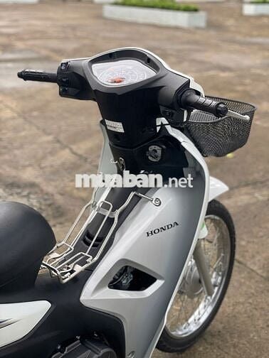 wave 2023