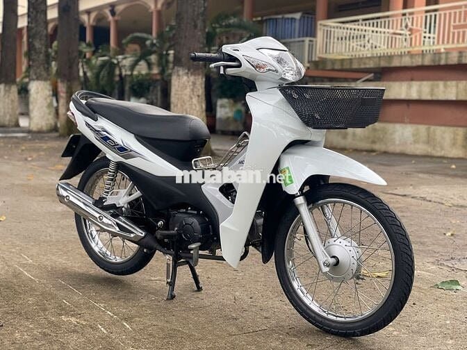 wave 2023
