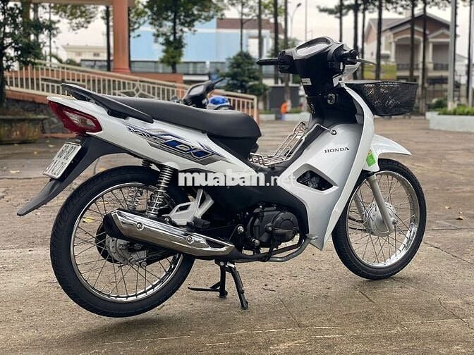 wave 2023