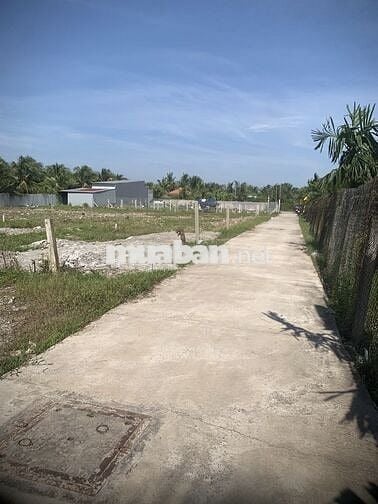 Nền 194m2 Full Thổ nhánh oto Một Quang phường Trung An