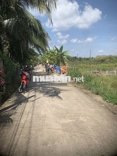 Đất ngay khu đang xây nhà gần BVĐK Tiền Giang P. Trung An