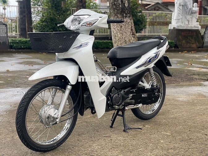wave 2023