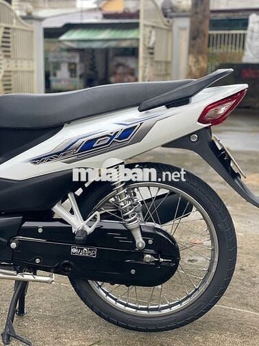 wave 2023