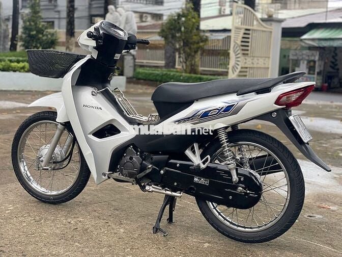 wave 2023