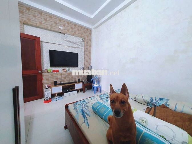 Cho thuê nhà 5pn 3wc, hẻm xe hơi 1/, Đs 59 P14 gò vấp