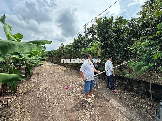 bán đất vườn trái cây Bình Lộc Long Khánh