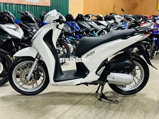 XE MÁYTHANH TÙNG_SH VIỆT 125 TRẮNG MÁY ZIN BIỂN 29