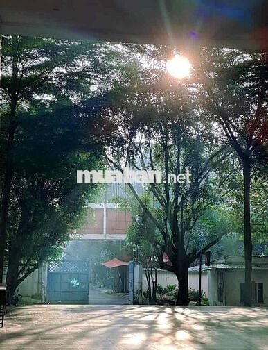 GÓC SHARE PHÒNG CHUNG CƯ DREAMHOME LUXURY – GÒ VẤP