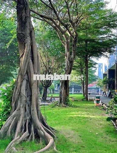GÓC SHARE PHÒNG CHUNG CƯ DREAMHOME LUXURY – GÒ VẤP