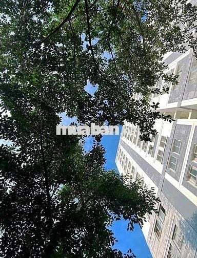 GÓC SHARE PHÒNG CHUNG CƯ DREAMHOME LUXURY – GÒ VẤP