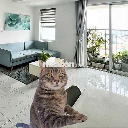 ✅ HOT-65m2-✅  2PN 1WC- Căn Góc- Cho thuê gấp 7tr5 vào ở Liền ^^!