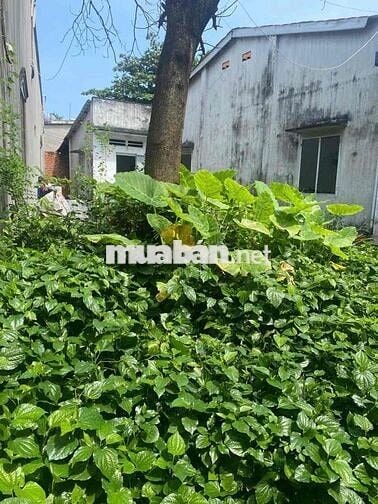 109m2 P. Bửu Long. gần Bờ Kè, ĐH Lạc Hồng 5
