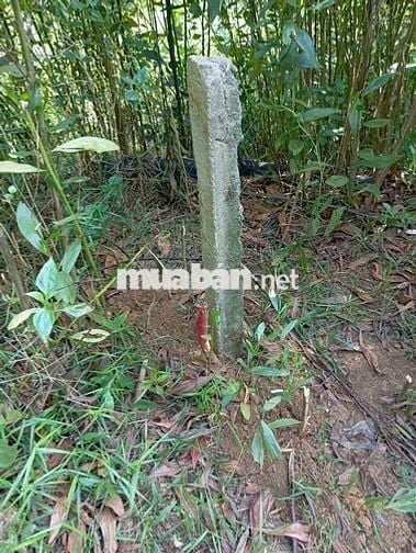 ĐẤT NGỌC THANH TĂNG KHÔNG PHANH