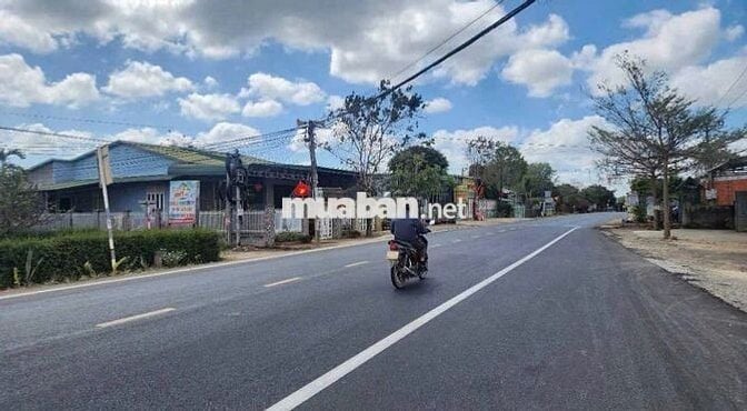 CHỦ NGỘP BÁN GẤP NHÀ VƯỜN RỘNG 2100M2  CÓ SẴN CÂY ĂN TRÁI