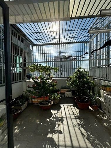 Chủ hạ giá bán căn nhà Bạch Đằng - Tân Bình - Giá ưu đãi chỉ 4 tỷ 390