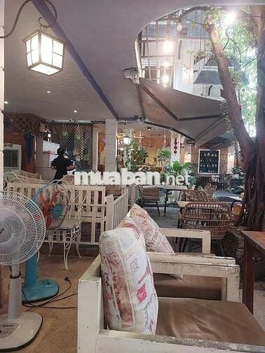 Biệt Thự Sân Vườn - Bành Văn Trân - 15x26,5m - 3 Tầng - giá chỉ 50 Tr