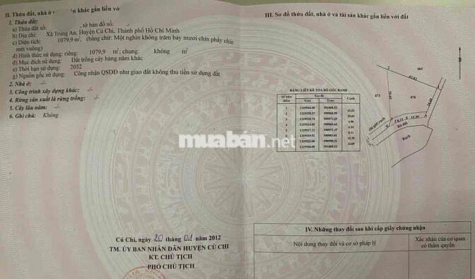 Bán Lô Đất Trồng Cây Hàng Năm 23000m2 Đã Tách Ra 4Sổ, Trung An, Củ Chi