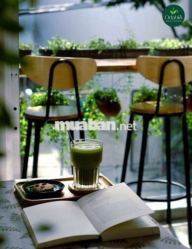 Sang nhượng cafe homestay cực xinh gần Cầu Rồng
