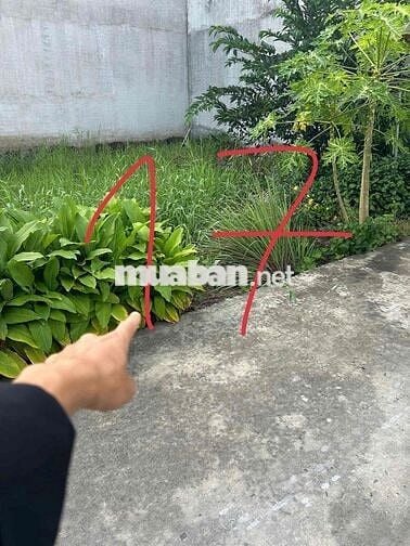 đất nền thổ cư, đã có sổ. giá 465tr/lô còn thương lượng