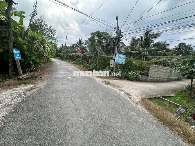 Căn nhà ngang 7m đẹp ngay trung tâm Trảng Bàng 217m2 giá 880 triệu