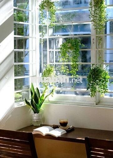 Sang nhượng cafe homestay cực xinh gần Cầu Rồng