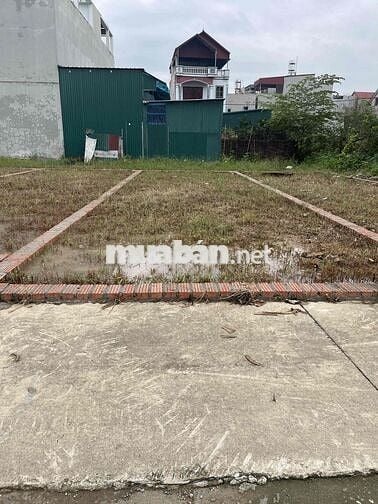 Bán đất Tổ 9 TT Quang Minh- DT 40m2- MT 4.3m- Ô tô đỗ cửa