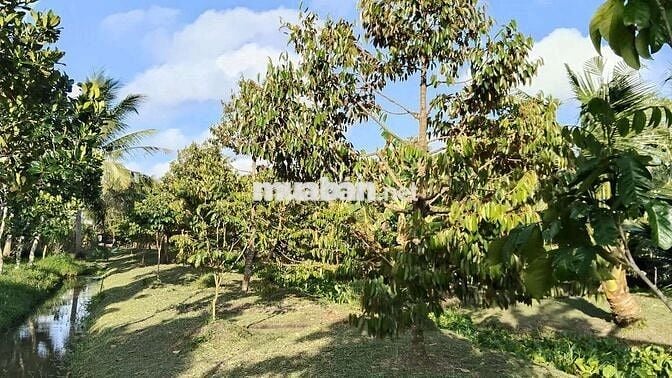 Nền thổ cư và đất ở mỹ khánh cách chợ 350m