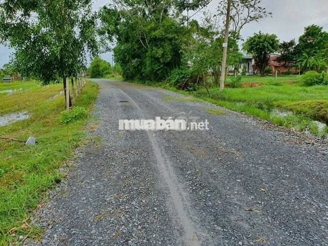 HÀNG NGỘP CẮT LỖ LÔ ĐẤT THỔ 240m2 TÂN PHÚ TRUNG