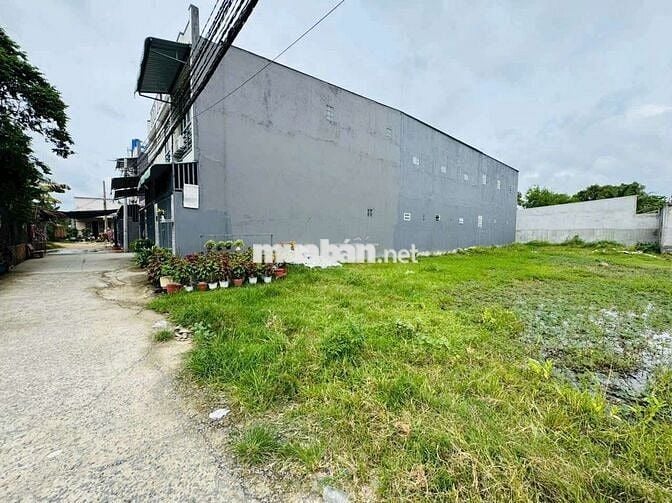 KẸT TIỀN BÁN GẤP lô đất ngay tỉnh lộ 824, thị trấn ĐỨC HÒA
