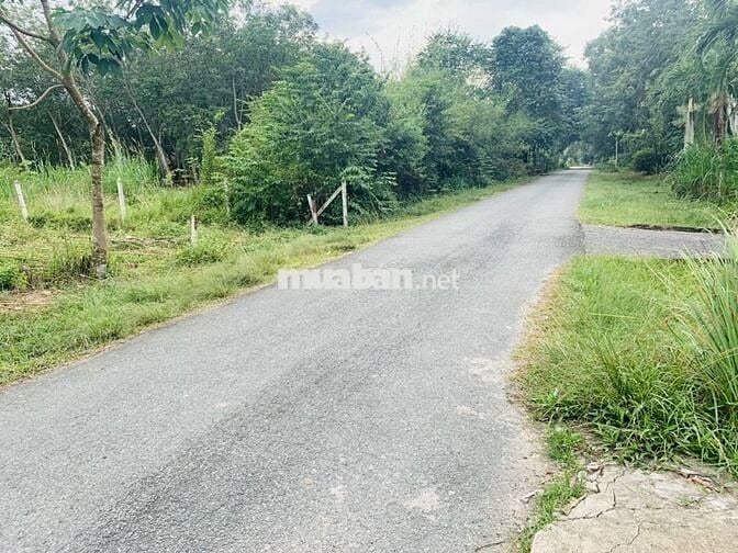 Bán lô đất 1 Sẹc Đ.Nguyễn Thị Rành, Nhuận Đức, DT 130m2 giá 800tr. SHR