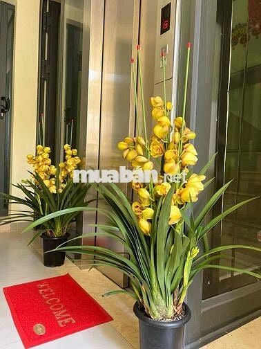 CHÍNH CHỦ CHO THUÊ CĂN HỘ DỊCH VỤ FULL NỘI THẤT MỚI ĐẦY ĐỦ TIỆN NGHI T