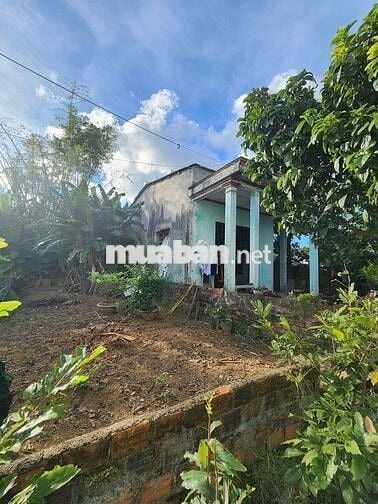 ĐẤT NGUYỄN NHƯ ĐỖ – CỰC NGON, CƠ HỘI VÀNG. Diện tích 120m²– NGANG 6m