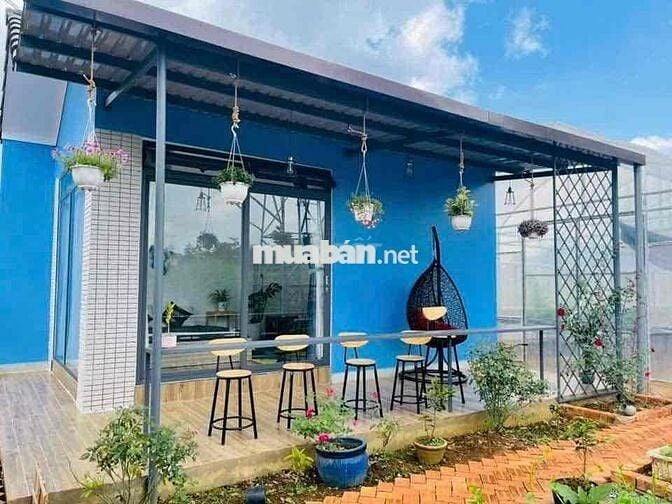 Homestay Dâu Tây Bảo Lộc DT: 934m2 sẵn 100 thổ cư 3 căn riêng biệt