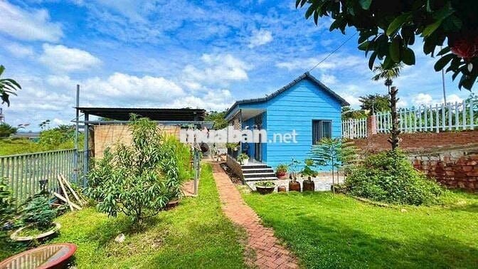 Homestay Dâu Tây Bảo Lộc DT: 934m2 sẵn 100 thổ cư 3 căn riêng biệt