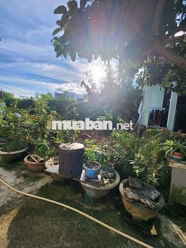 ĐẤT NGUYỄN NHƯ ĐỖ – CỰC NGON, CƠ HỘI VÀNG. Diện tích 120m²– NGANG 6m