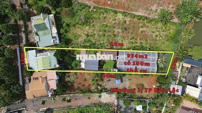 Homestay Dâu Tây Bảo Lộc DT: 934m2 sẵn 100 thổ cư 3 căn riêng biệt