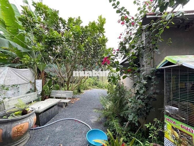 Nhà vườn Lộc Thanh - Bảo Lộc DT 1091m2 (21mx50m) gần nút giao cao tốc