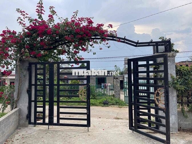 Nhà vườn Lộc Thanh - Bảo Lộc DT 1091m2 (21mx50m) gần nút giao cao tốc
