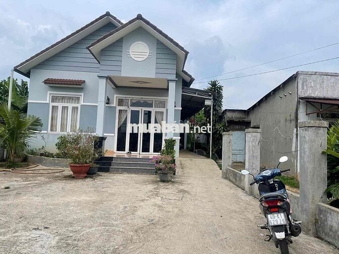 Nhà vườn Lộc Thanh - Bảo Lộc DT 1091m2 (21mx50m) gần nút giao cao tốc